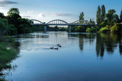 Hamilton_Waikato