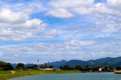shutterstock_1756848341 - 800x533 (Opotiki)