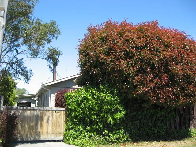9 Woodend Road, Woodend
