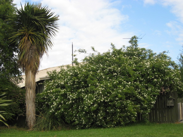 105 Main North Road, Woodend