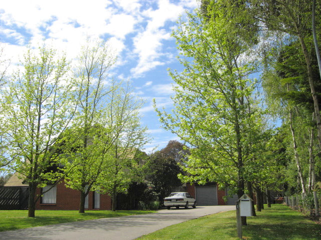 1 Woodfield Place, Woodend