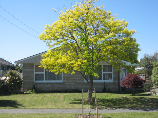 30 Armitage Street, Strowan, Christchurch