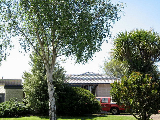 8 Chipping Lane, Redwood, Christchurch