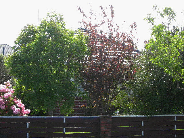 20 Clipper Place, Redwood, Christchurch