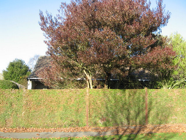 36 Wiremu Street, Redwood, Christchurch