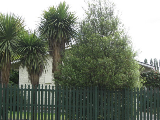 5 Clivedon Place, Redwood, Christchurch