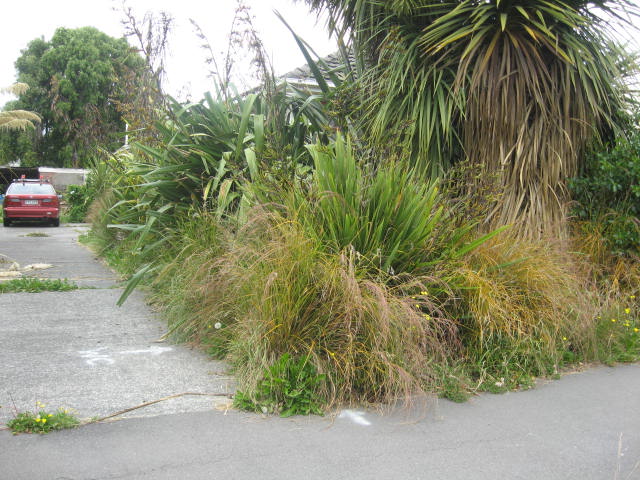 23 Ayr Street, Riccarton, Christchurch