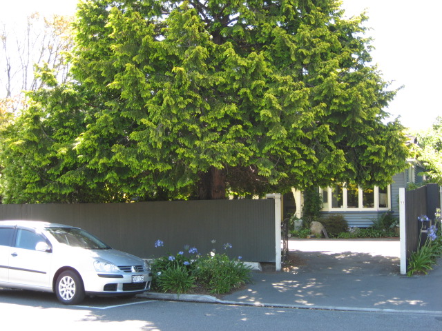 1/11 Aikmans Road, Merivale, Christchurch
