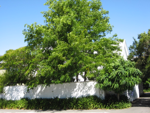 2/34 Aikmans Road, Merivale, Christchurch