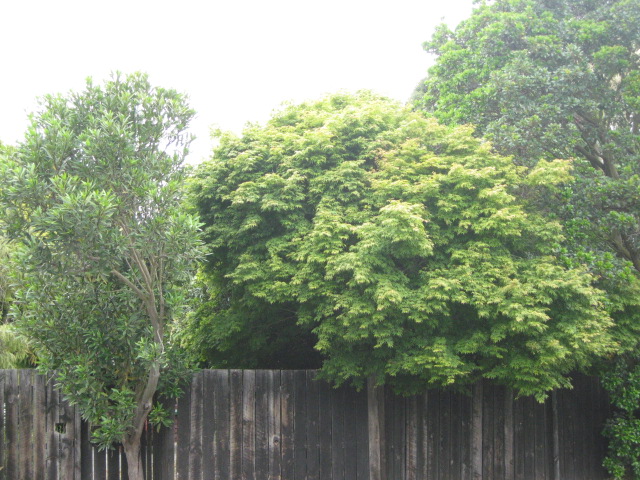 46 Alexandra Street, Richmond, Christchurch