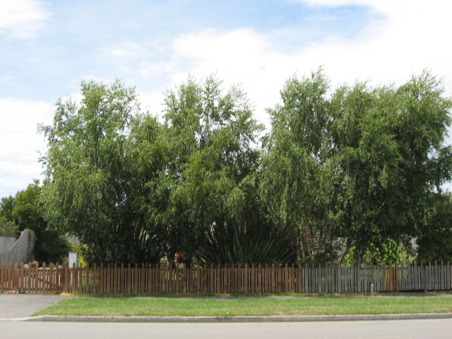20 Alport Place, Woolston, Christchurch