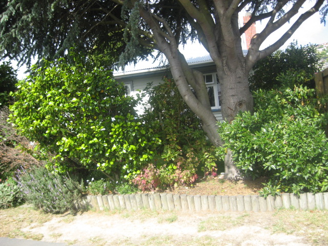36 Birdwood Avenue, Beckenham, Christchurch