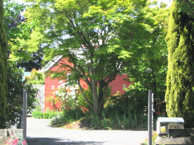 95 Studholme Street, Somerfield, Christchurch