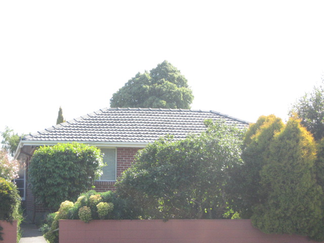 1/9 Young Street, Somerfield, Christchurch