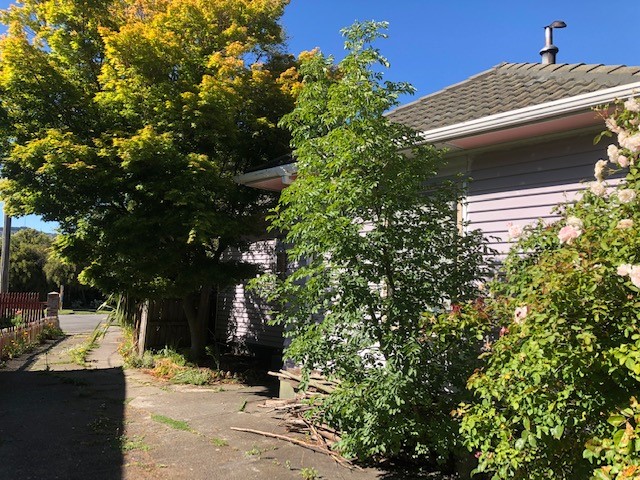 5 Bard Street, Somerfield, Christchurch
