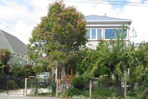 26 Dryden Street, Sumner, Christchurch