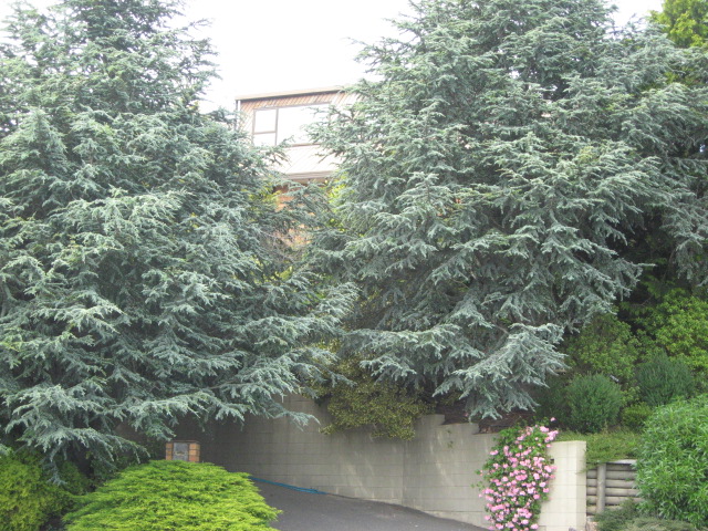 61 Penruddock Rise, Westmorland, Christchurch