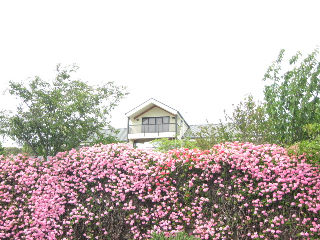 6 Thirlmere Lane, Westmorland, Christchurch