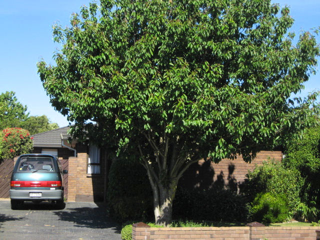 5 Colchester Place, Templeton, Christchurch