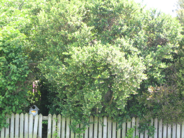 616 Waterloo Road, Hei Hei, Christchurch
