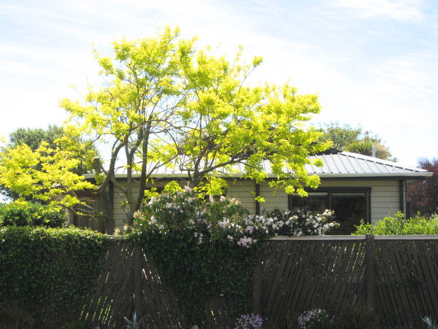 24 Kissel Street, Templeton, Christchurch