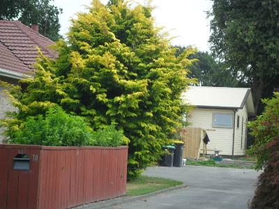 10 Kopara Street, Templeton, Christchurch