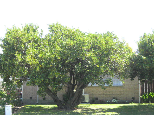 41 Bailey Street, Templeton, Christchurch