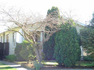 55 Bailey Street, Templeton, Christchurch