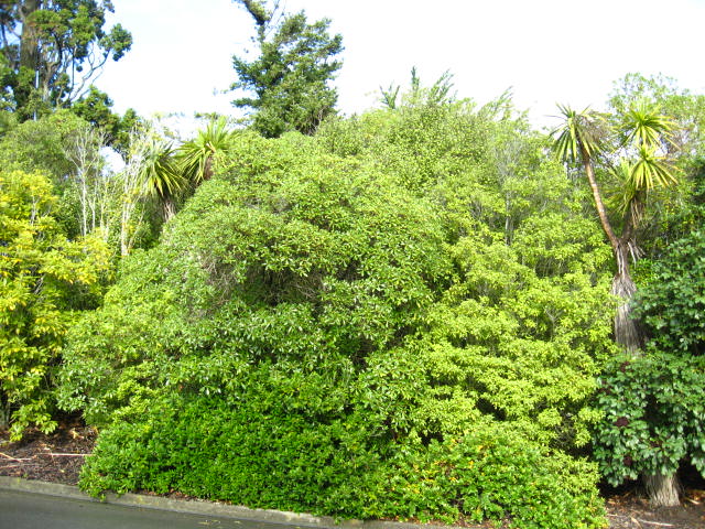 48R Bengal Drive, Cashmere, Christchurch