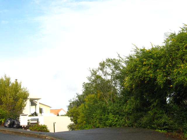 46 Bengal Drive, Cashmere, Christchurch