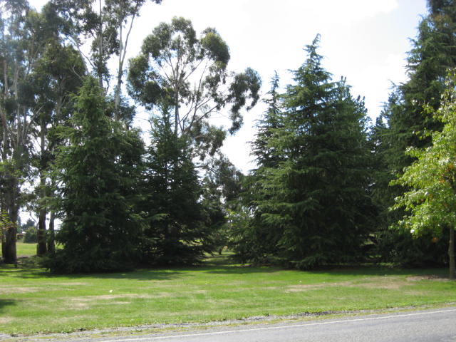 Bangor Road, Darfield