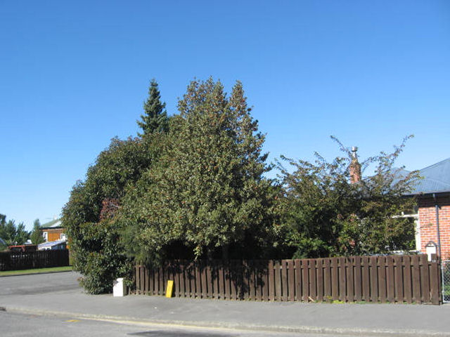 7 Alington Street, Ashburton