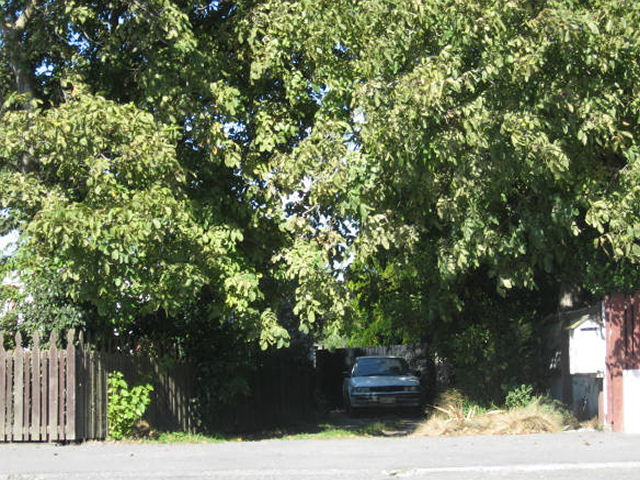 79 Bridge Street, Ashburton