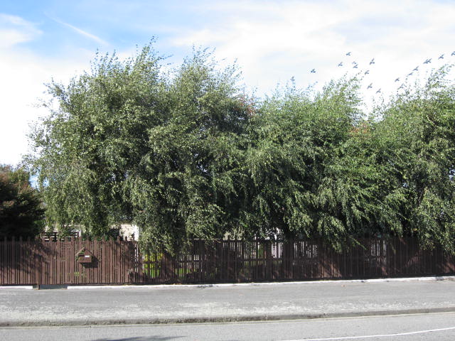 48 Chalmers Avenue, Ashburton