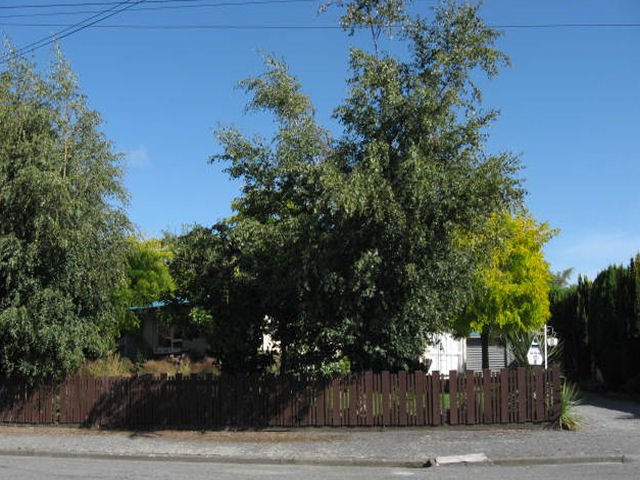 8 Anne Street, Ashburton