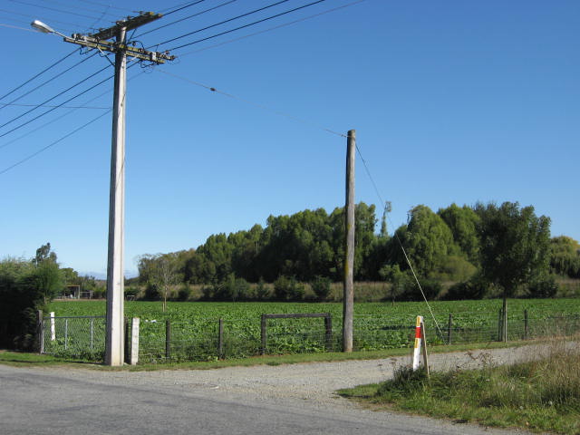 Wallingford Road