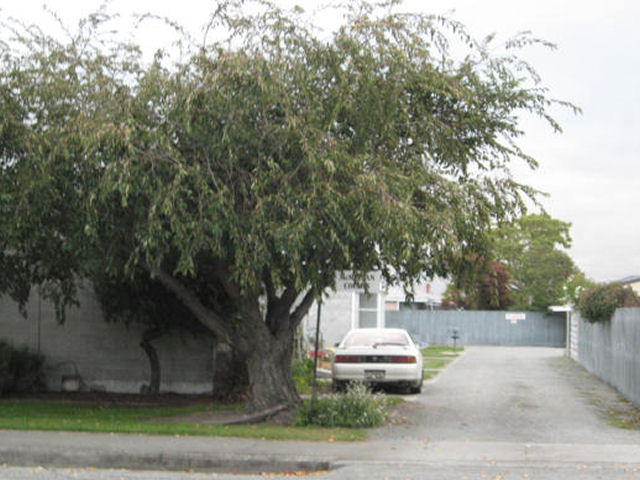 3 Wilkin Street