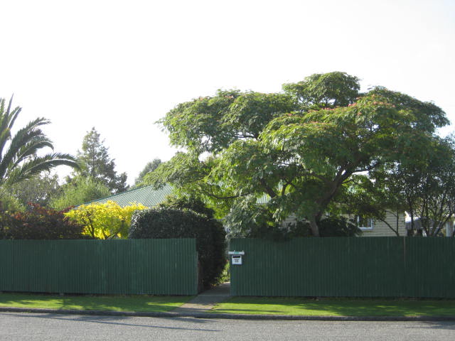 25 Alexandra Street