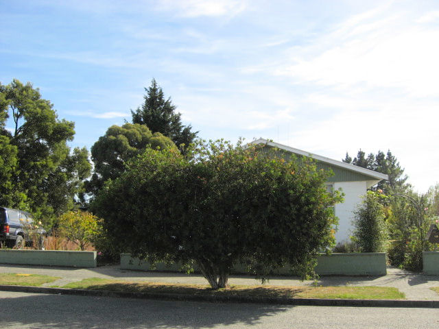 19 Dampier Street
