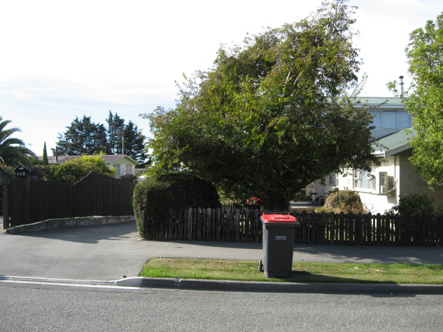 29 Cook Street
