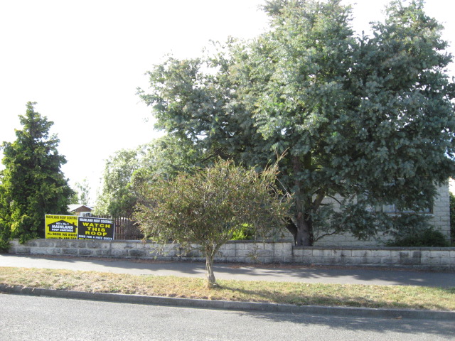 31 Cook Street