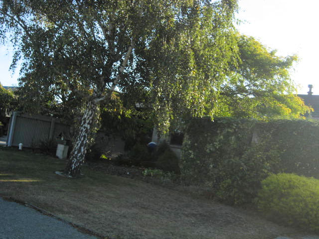 39 Ascot Street