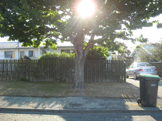 31 Ascot Street