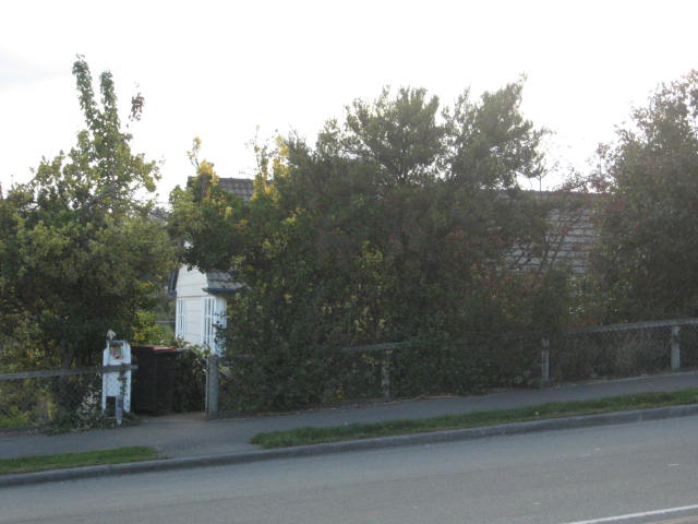 168 Selwyn Street