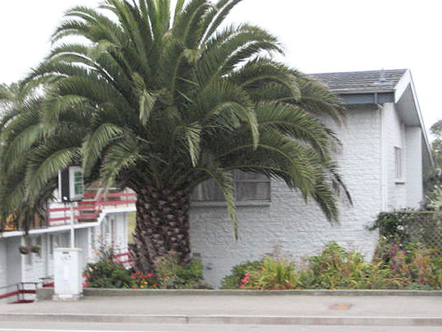 21A Evans Street