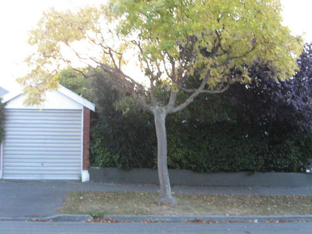 16 Craighead Street