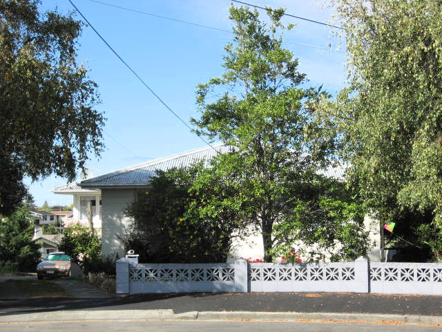 7 Ohau Street