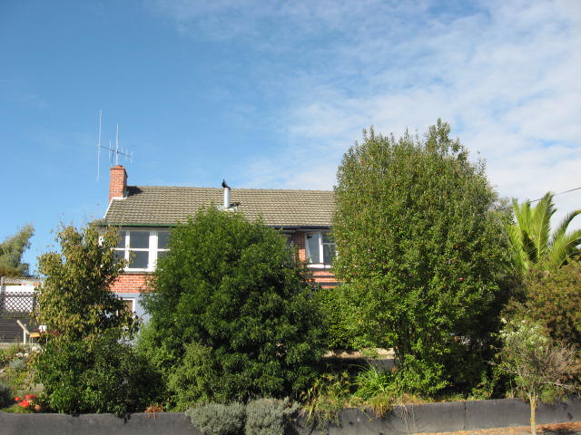1 Hawea Street