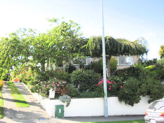41 Morgans Road