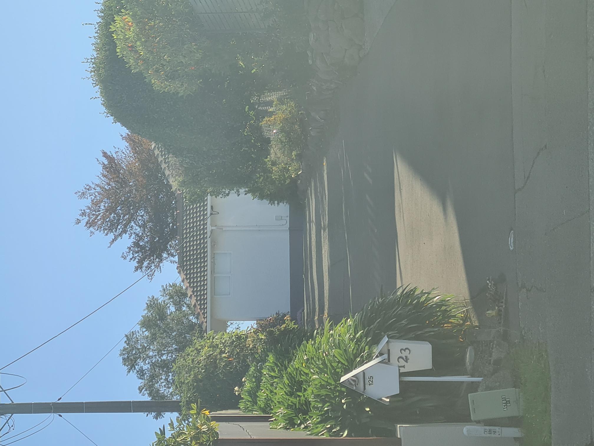 123 Orbell Street